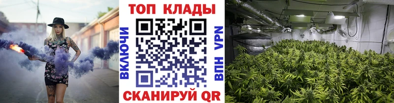 Где купить наркотики Камбарка Гашиш  Бошки Шишки  Alpha-PVP  МЕФ 