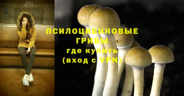 ешки Арсеньев