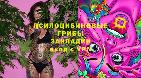 прущая мука Армянск