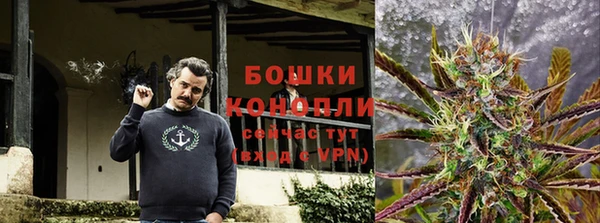 ешки Арсеньев