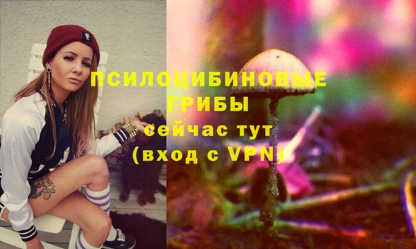 ешки Арсеньев