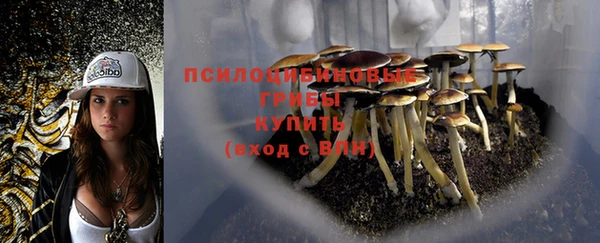 дурь Аркадак