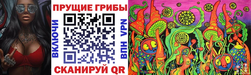 ОМГ ОМГ онион Камбарка Галлюциногенные грибы Psilocybe продажа наркотиков