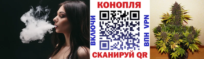МЕГА ссылки купить Камбарка Шишки марихуана Amnesia
